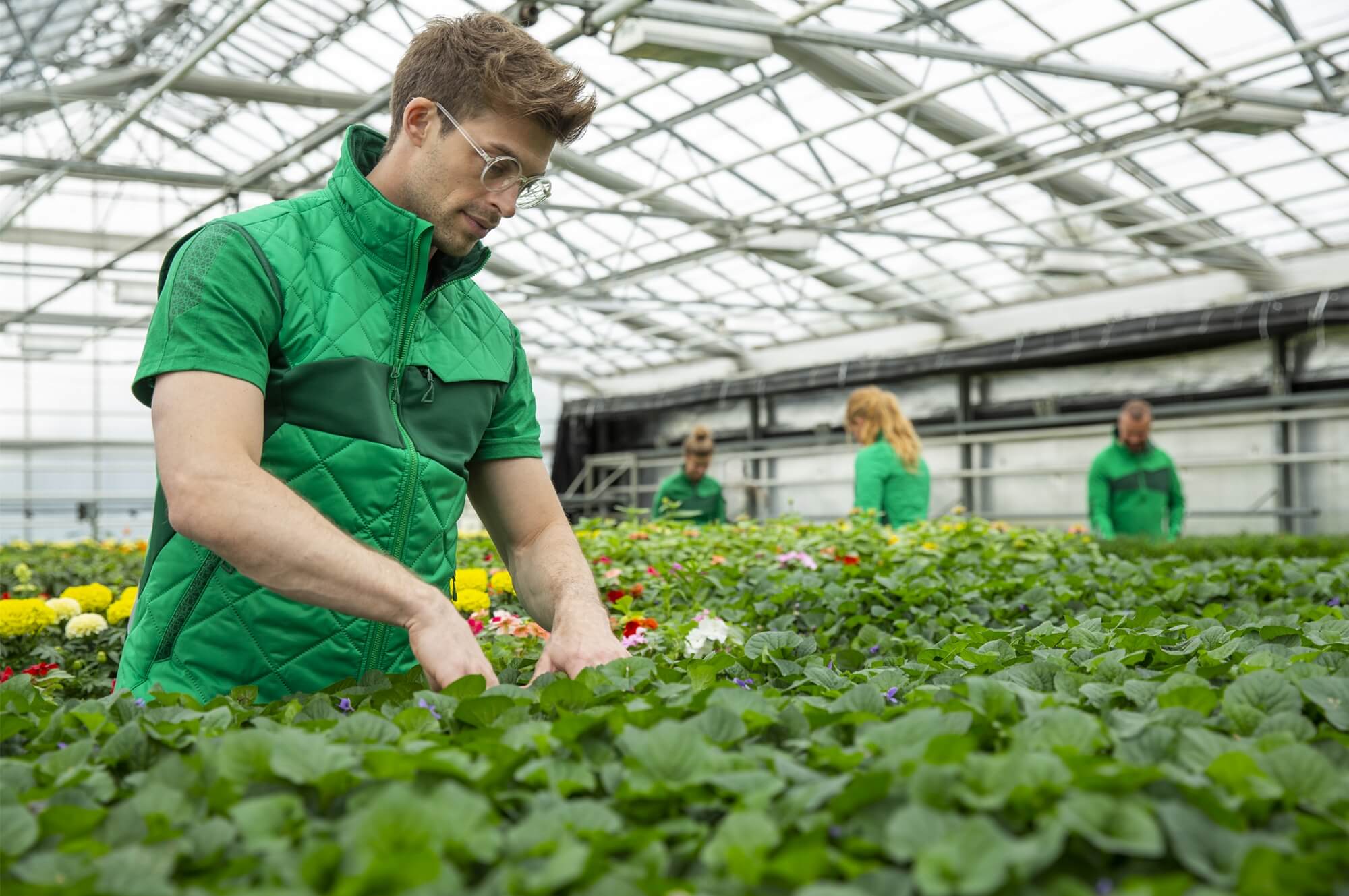 Gardener_Man_Green